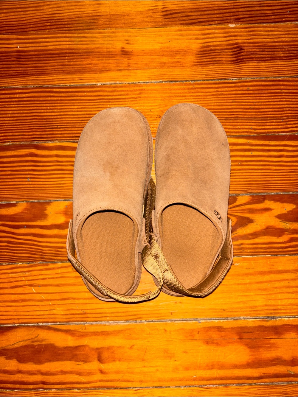 UGG Women's Tan Suede Backstrap Mules